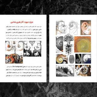 کتاب «خرد الهی» جلد دوم کتاب «حکمت» 1