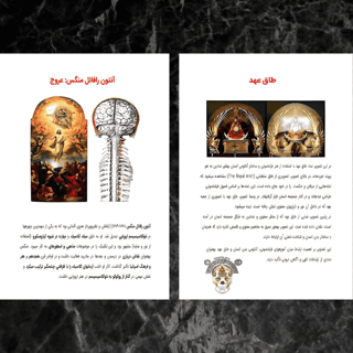 کتاب «خرد الهی» جلد دوم کتاب «حکمت» 3