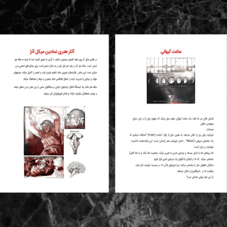 کتاب «خرد الهی» جلد دوم کتاب «حکمت» 4